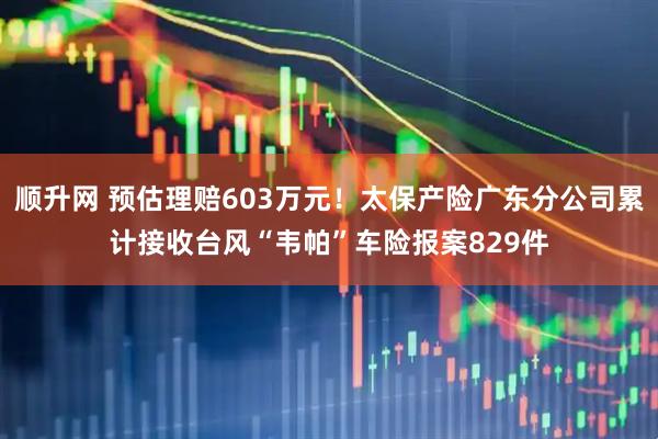 顺升网 预估理赔603万元！太保产险广东分公司累计接收台风“韦帕”车险报案829件