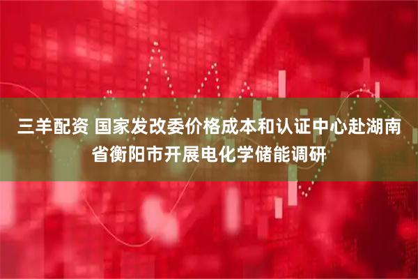 三羊配资 国家发改委价格成本和认证中心赴湖南省衡阳市开展电化学储能调研