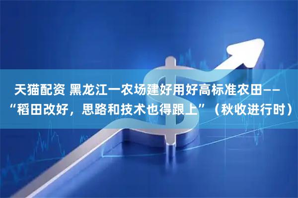 天猫配资 黑龙江一农场建好用好高标准农田—— “稻田改好，思路和技术也得跟上”（秋收进行时）