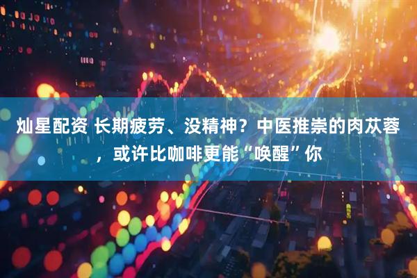灿星配资 长期疲劳、没精神？中医推崇的肉苁蓉，或许比咖啡更能“唤醒”你