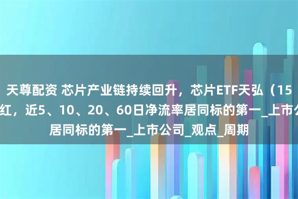 天尊配资 芯片产业链持续回升，芯片ETF天弘（159310）盘中翻红，近5、10、20、60日净流率居同标的第一_上市公司_观点_周期