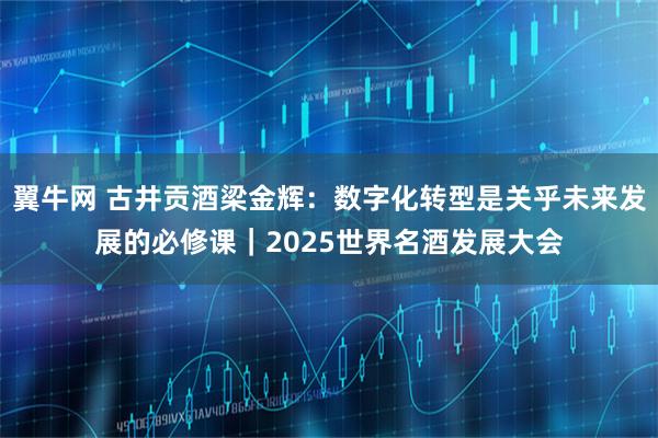 翼牛网 古井贡酒梁金辉：数字化转型是关乎未来发展的必修课｜2025世界名酒发展大会